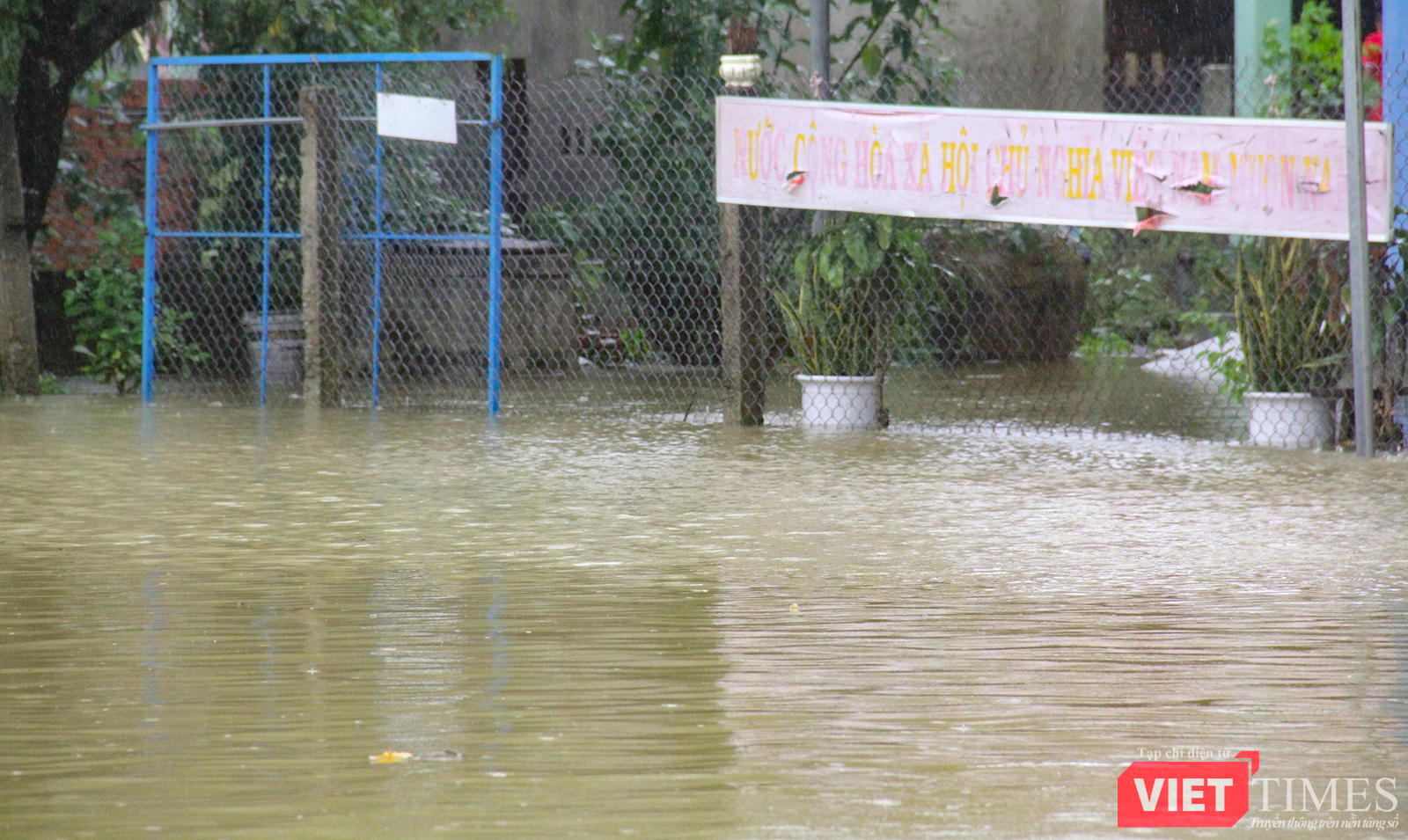 vt_qung nam ngap 3.png