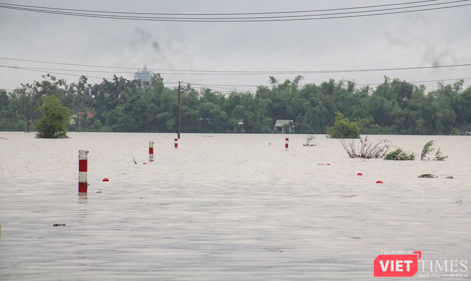 vt_qung nam ngap 5.png