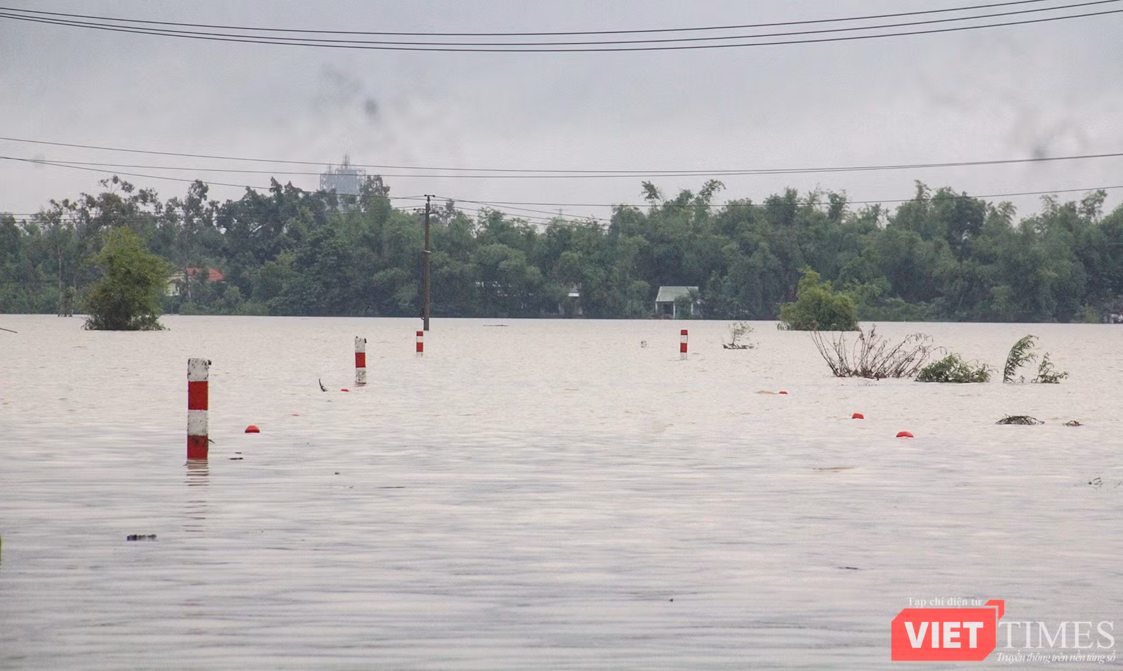 vt_qung nam ngap 5.png