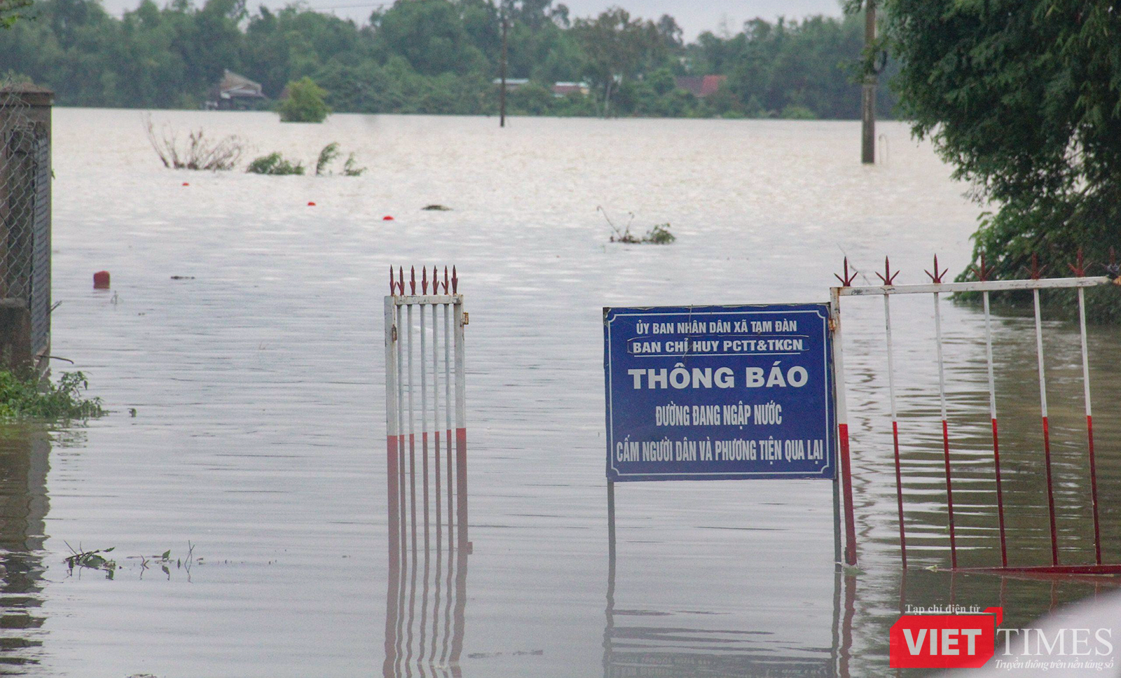 vt_qung nam ngap 2.png