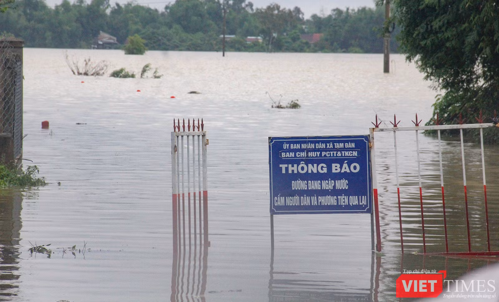 vt_qung nam ngap 2.png