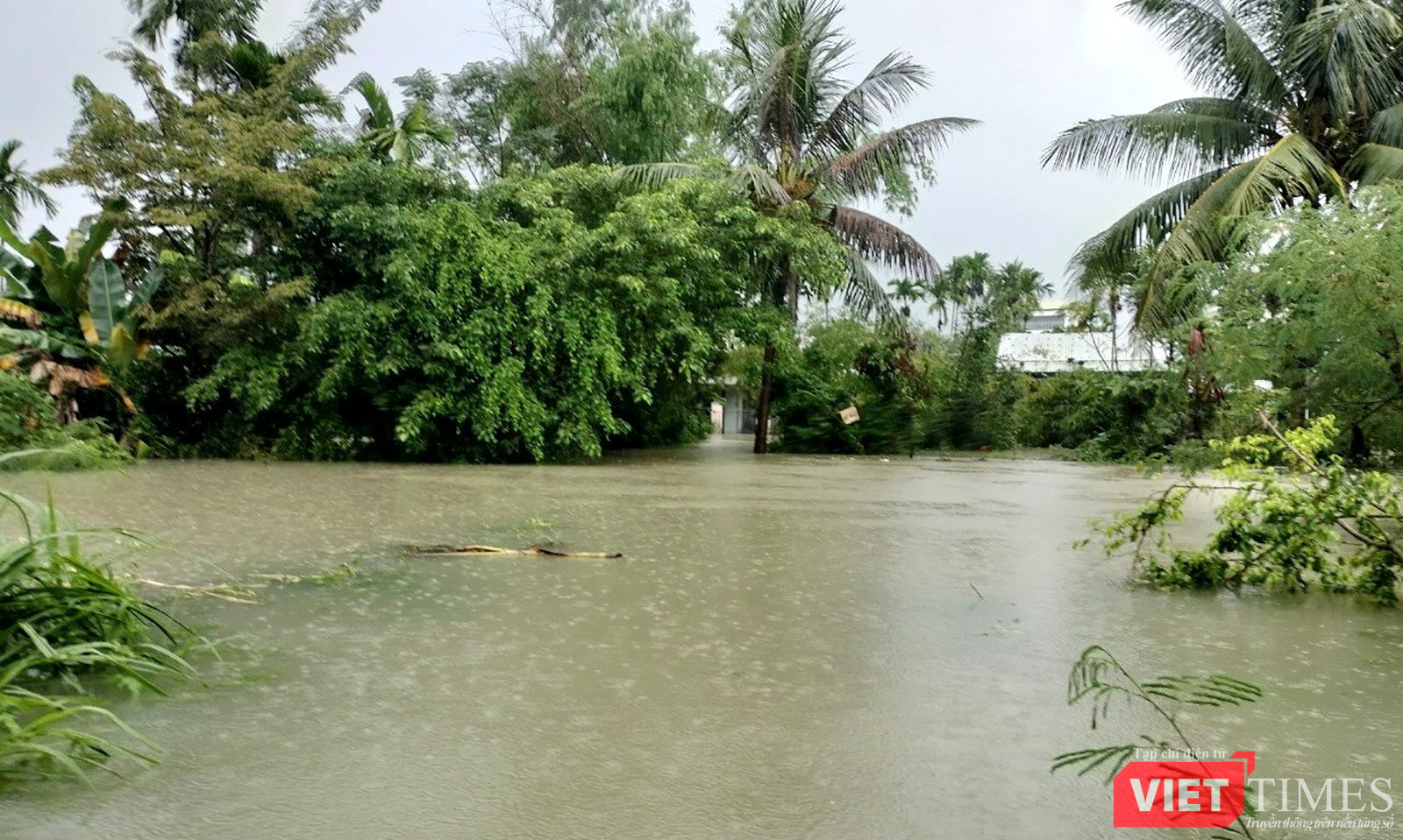 vt_qung nam ngap 16.png