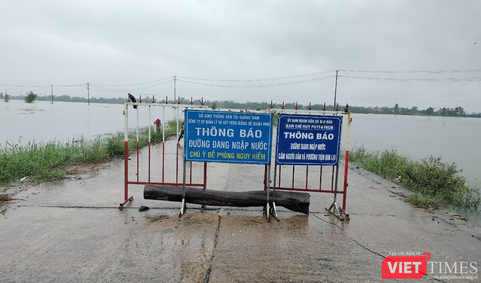 vt_qung nam ngap 14.png