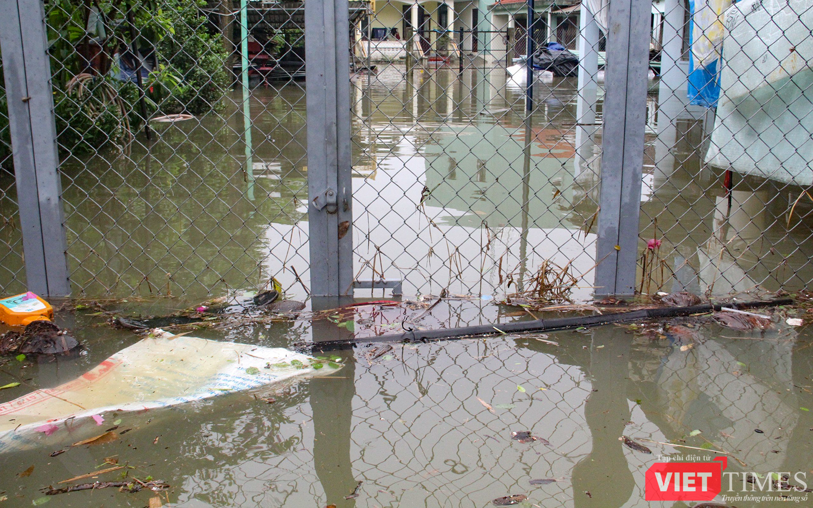 vt_qung nam ngap 10.png