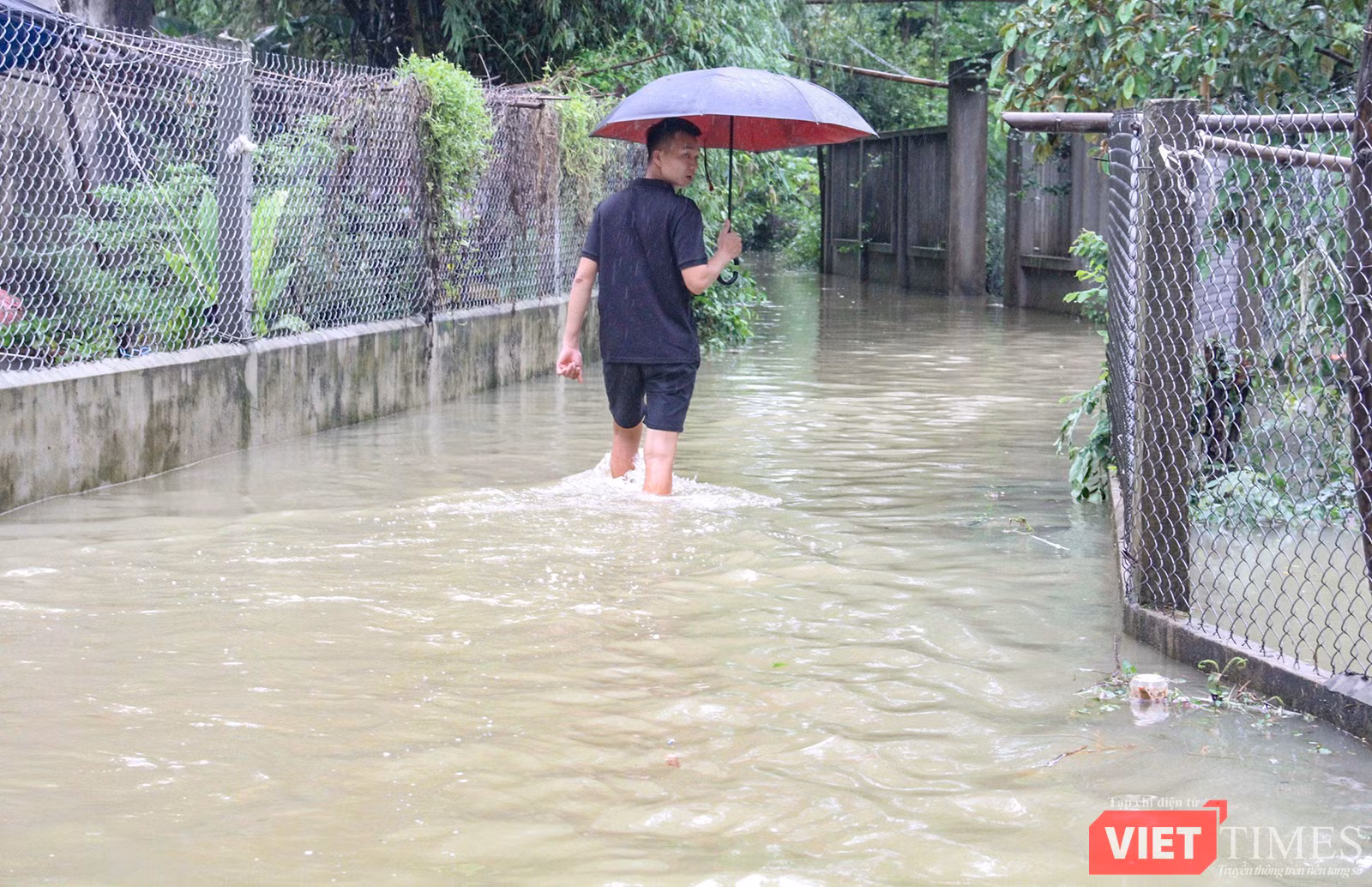 vt_qung nam ngap 1.png