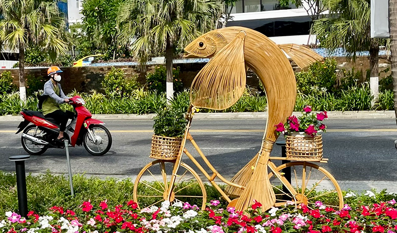 duong hoa bien 9.png