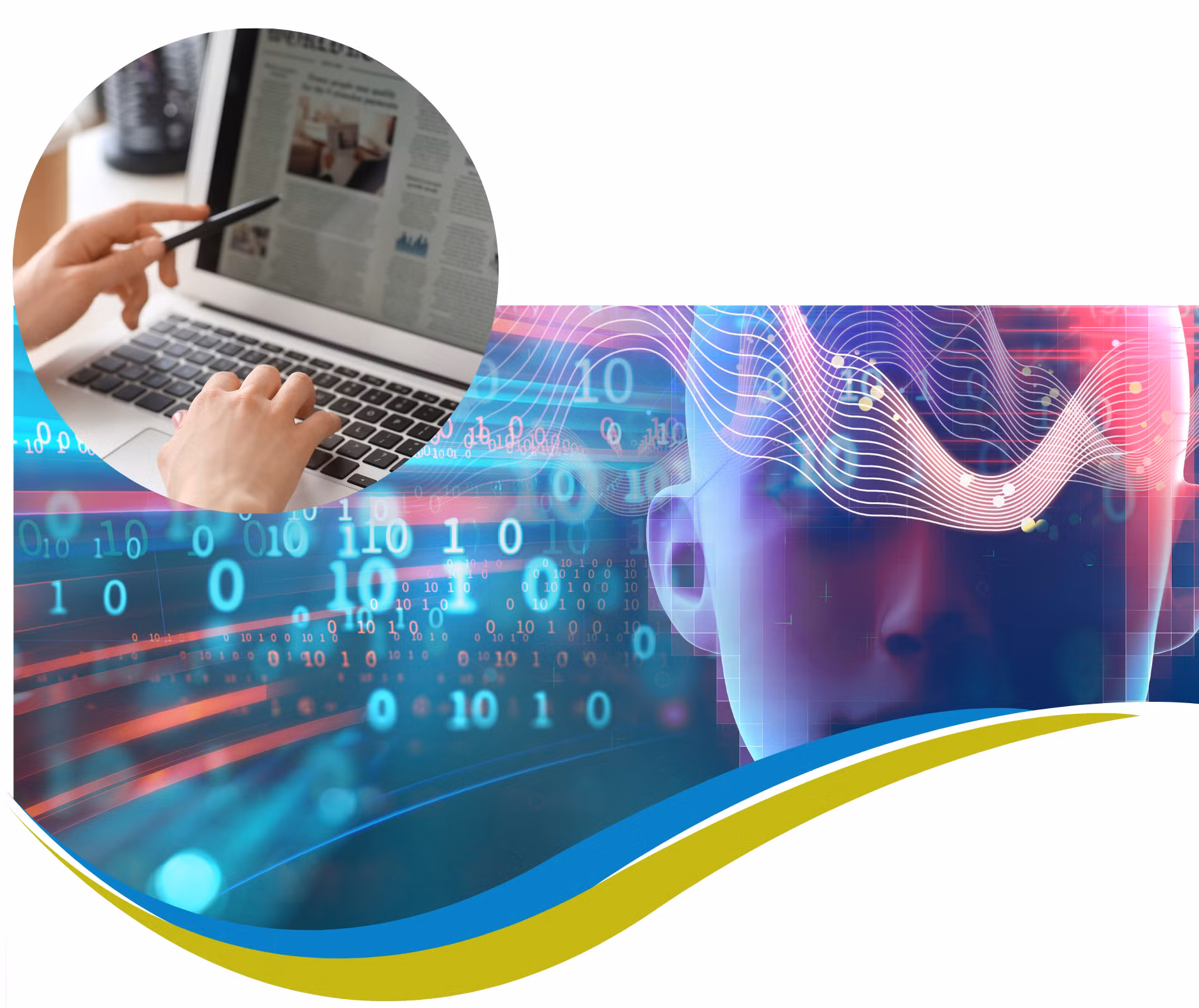 anh minh hoa bai nda.jpg