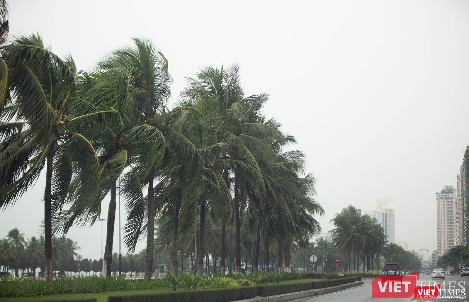 Gió bắt đầu lớn dần