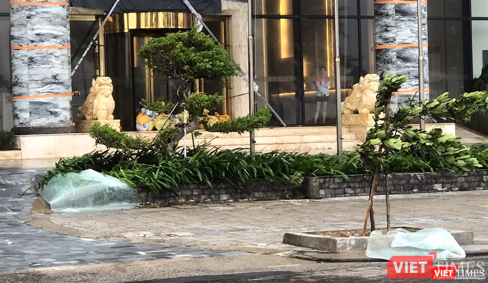 Kính công trình bị gió đánh văng xuống đất