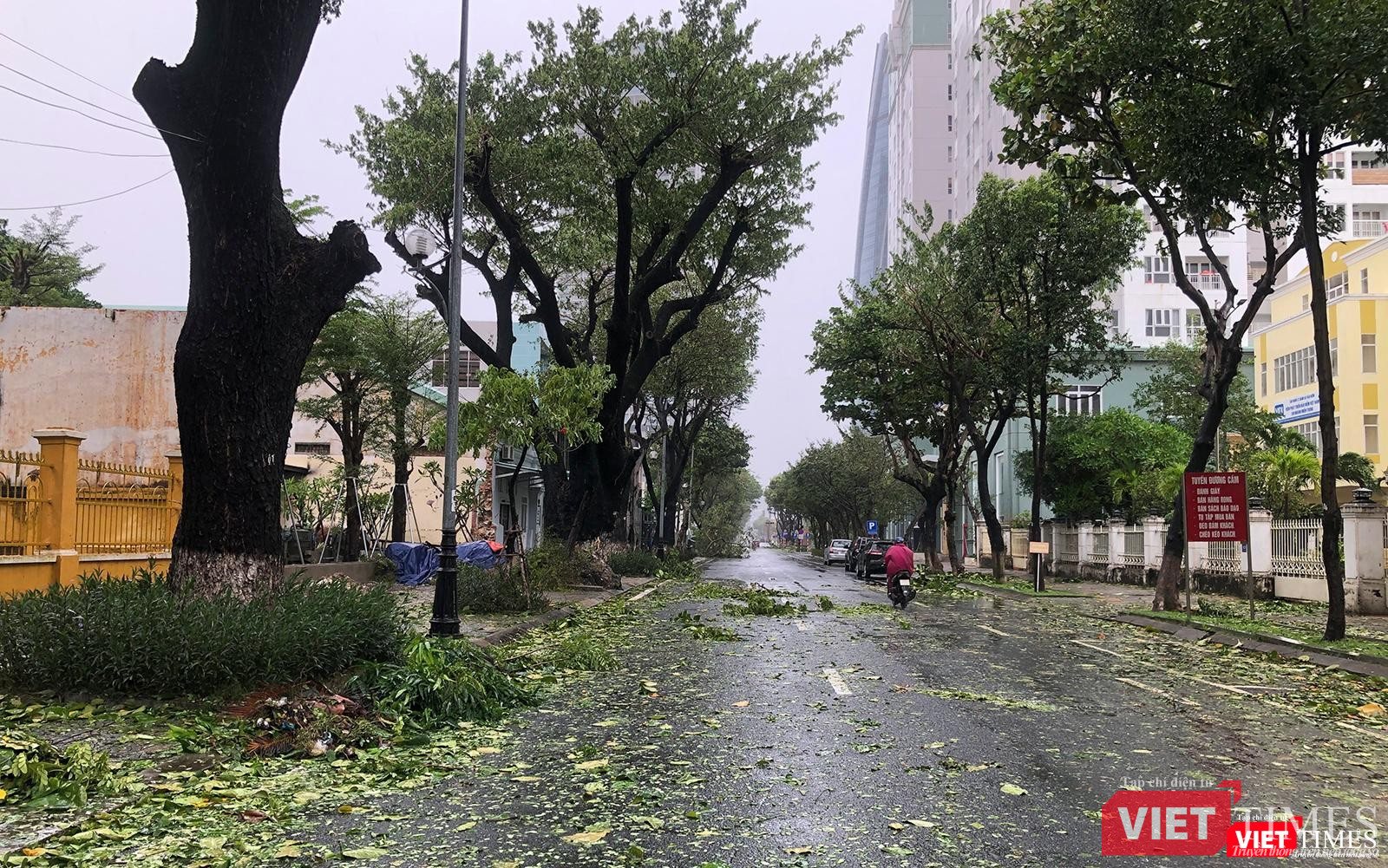 Đường Trần Phú sau bão