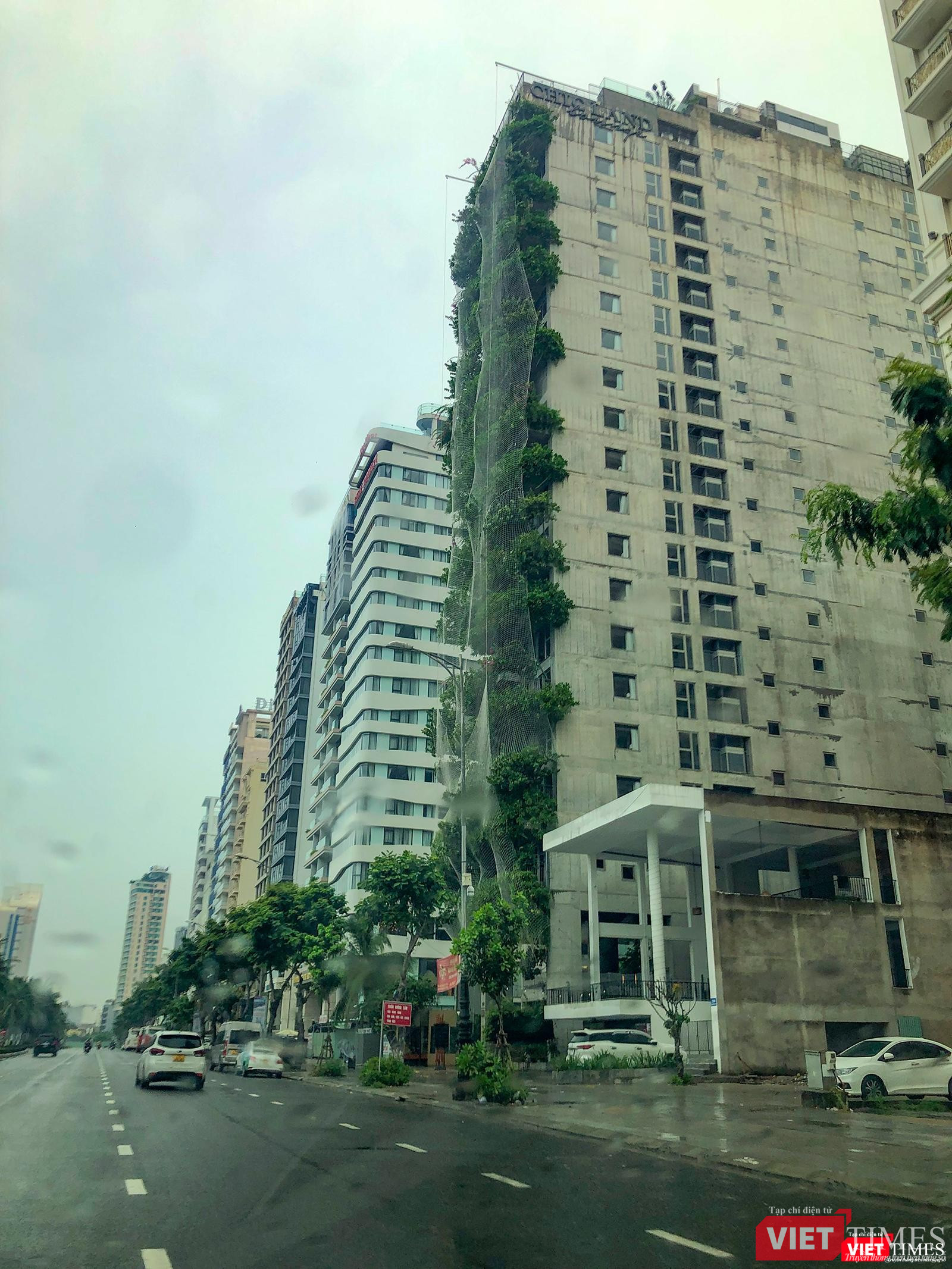 Cây xanh cũng được bọc lưới để chống gió bão