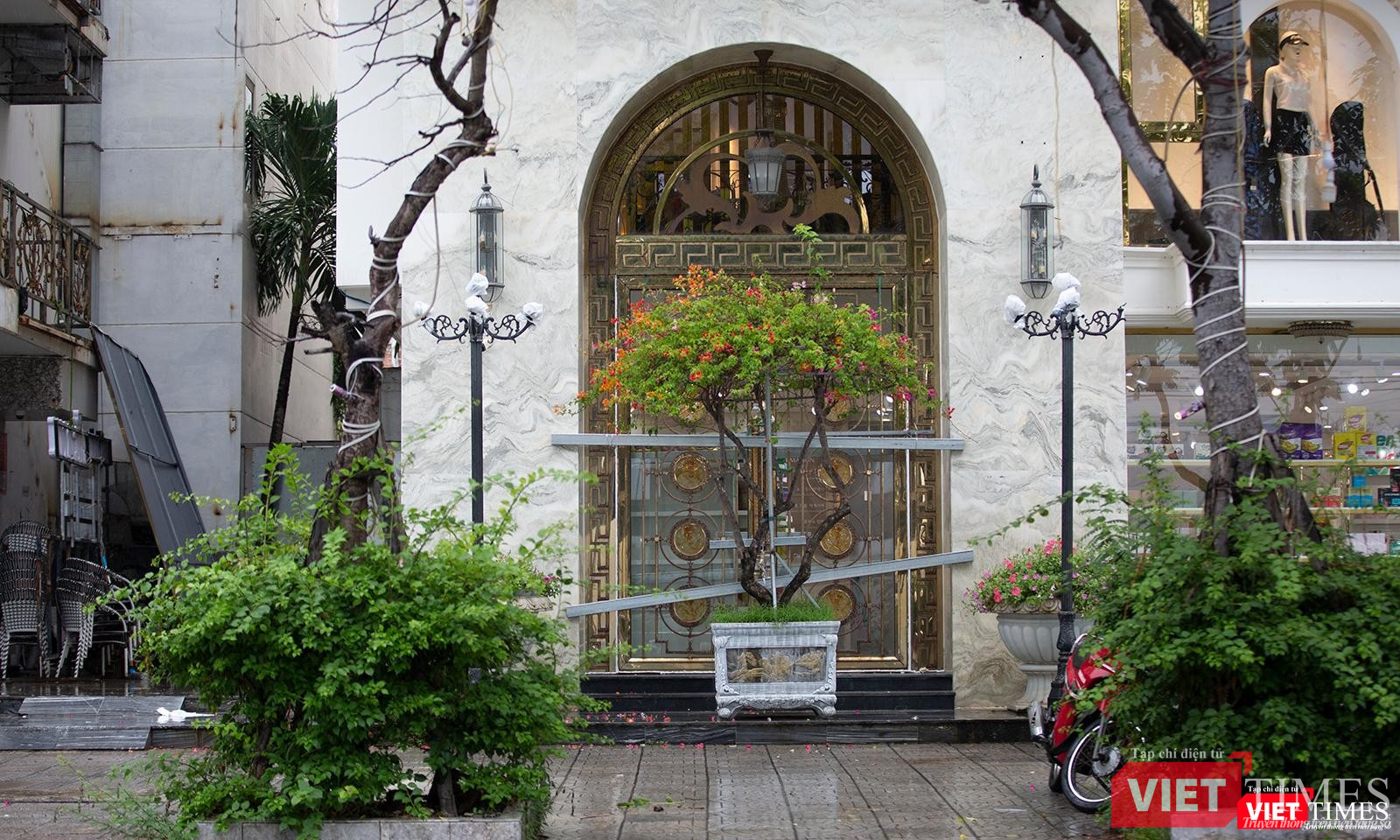 Dùng cả chậu cây cảnh để chằng chống cửa