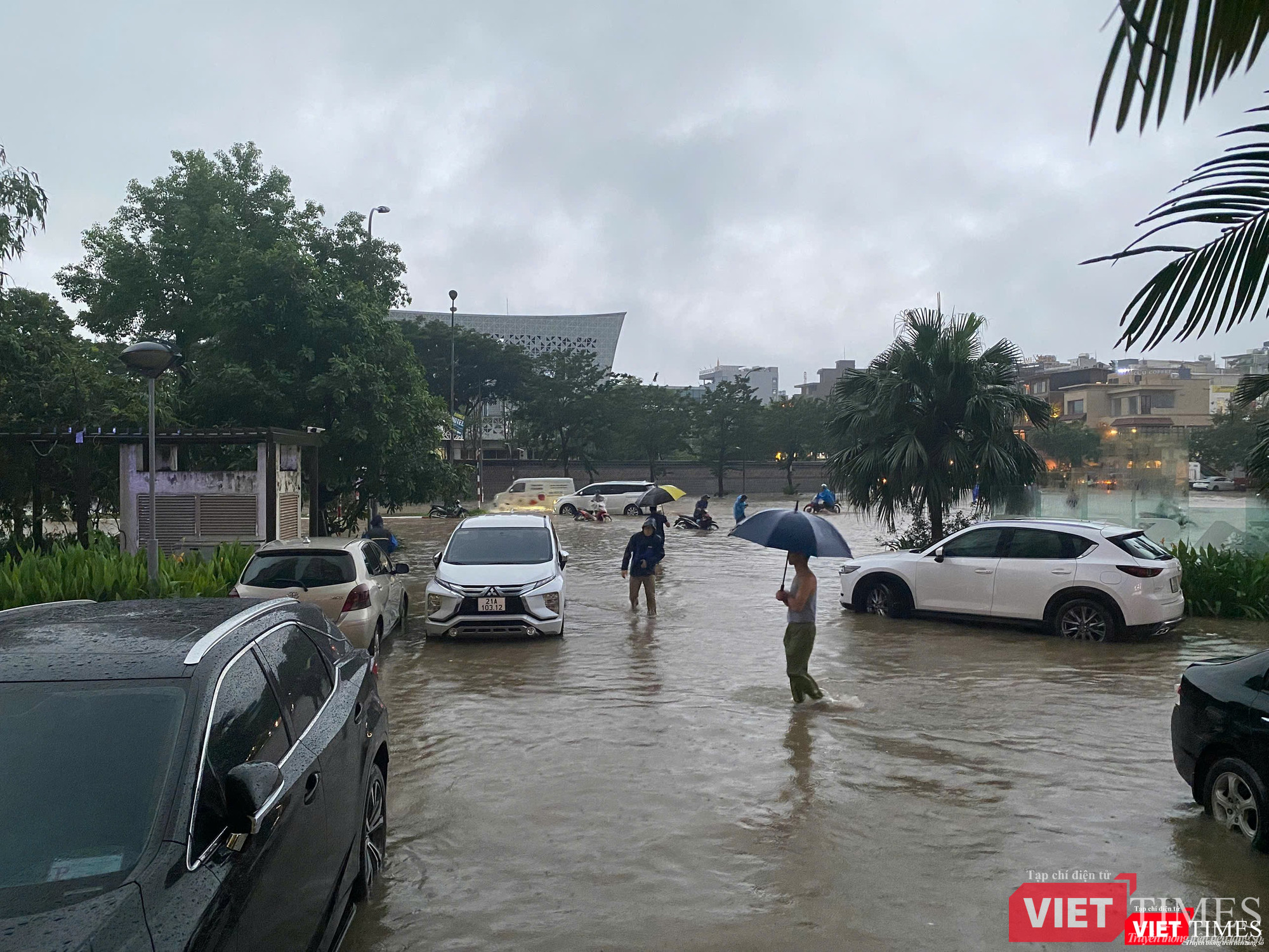 vt-ngập 13.jpg
