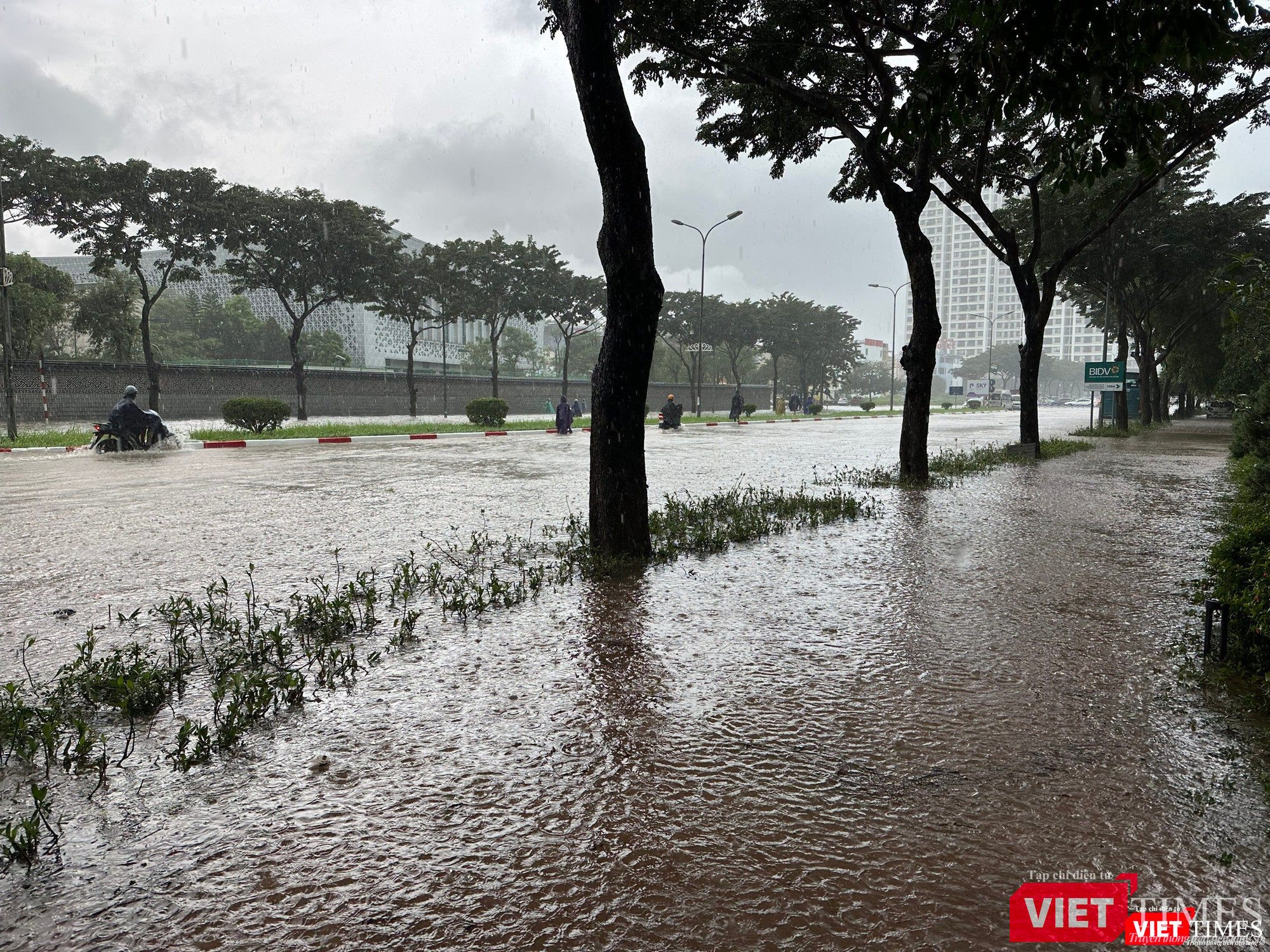 vt-ngập1.jpg