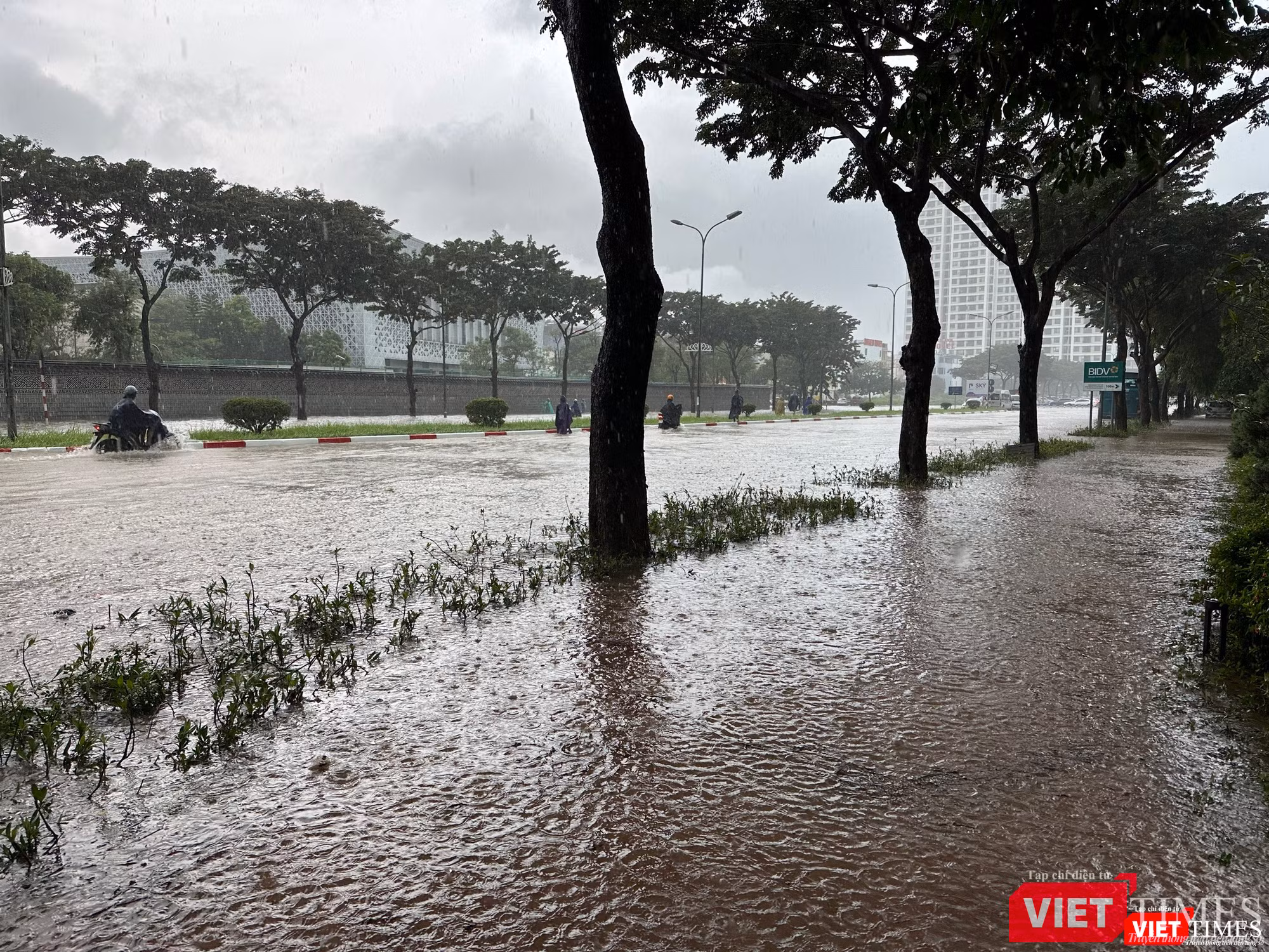vt-ngập1.jpg