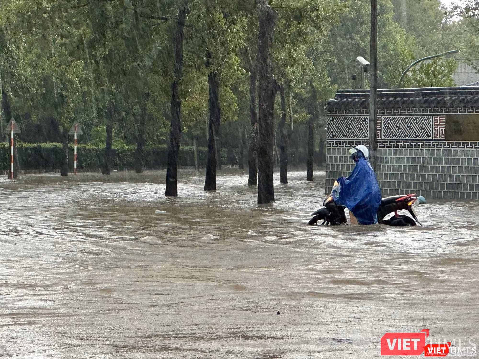 vt-ngập 3.jpg