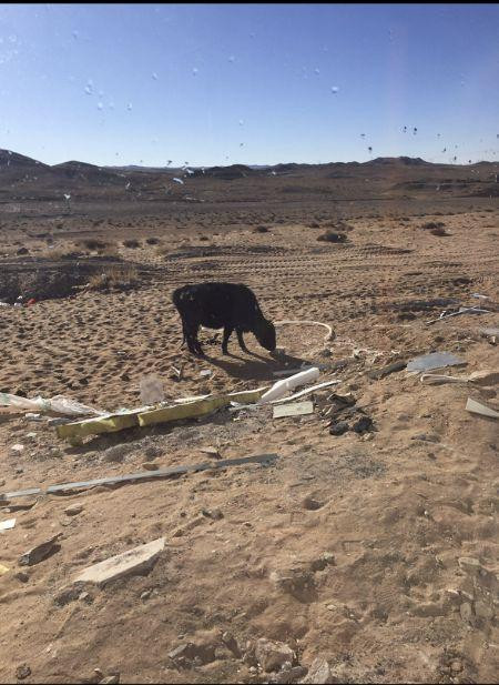 Mỏ đào mà Feng Sheng tìm đến là một khu đất hoang ở Nội Mông Mỏ đào mà Feng Sheng tìm đến là một khu đất hoang ở Nội Mông