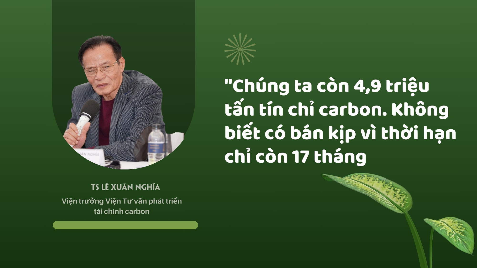 Green and White Simple Saving The Earth Presentation (1).jpg