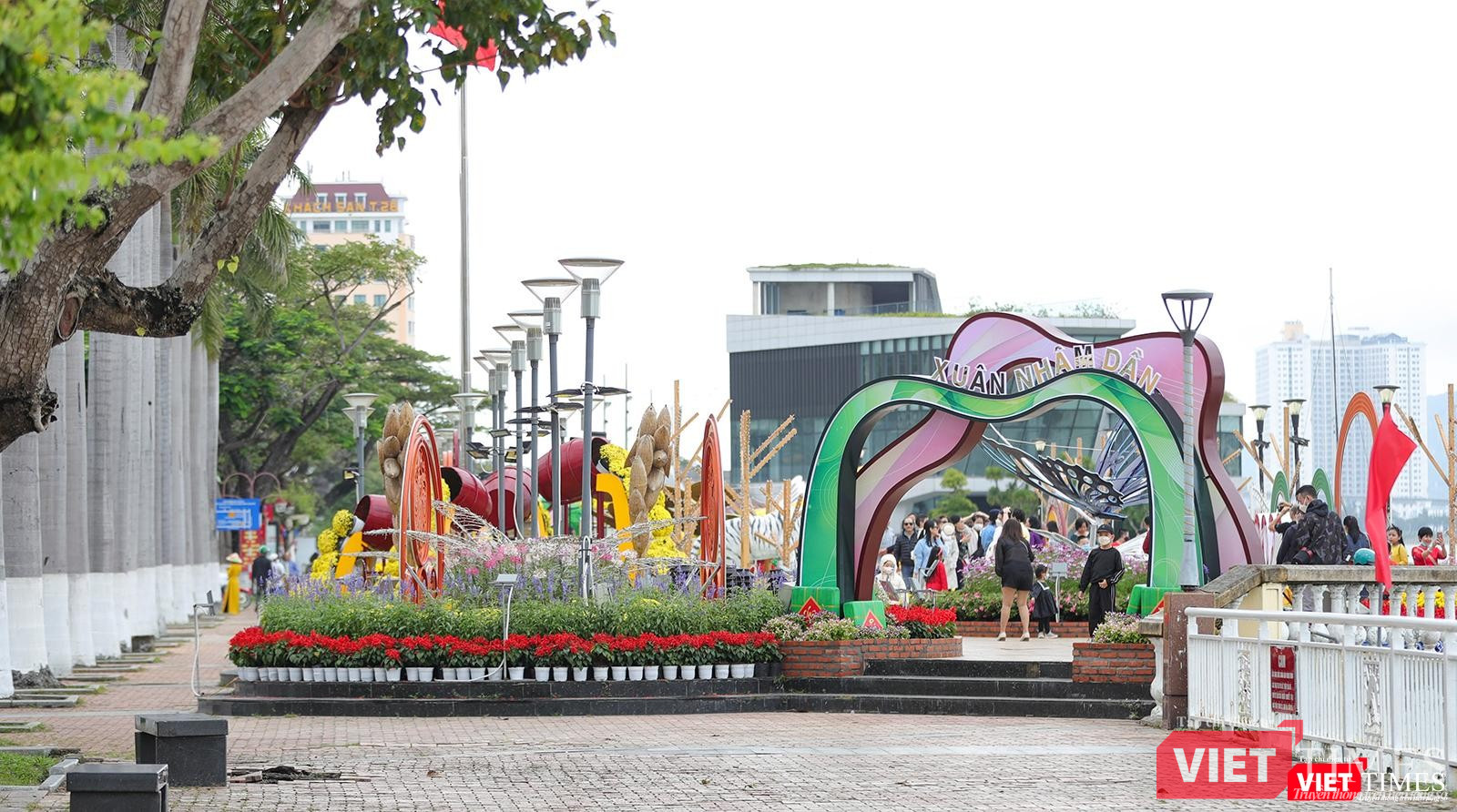 Một góc đường hoa Xuân Bạch Đằng trước cầu chữ T