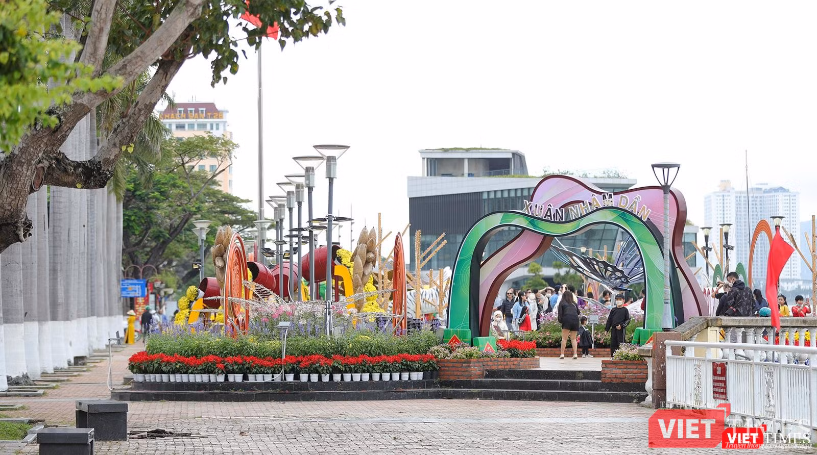 Một góc đường hoa Xuân Bạch Đằng trước cầu chữ T