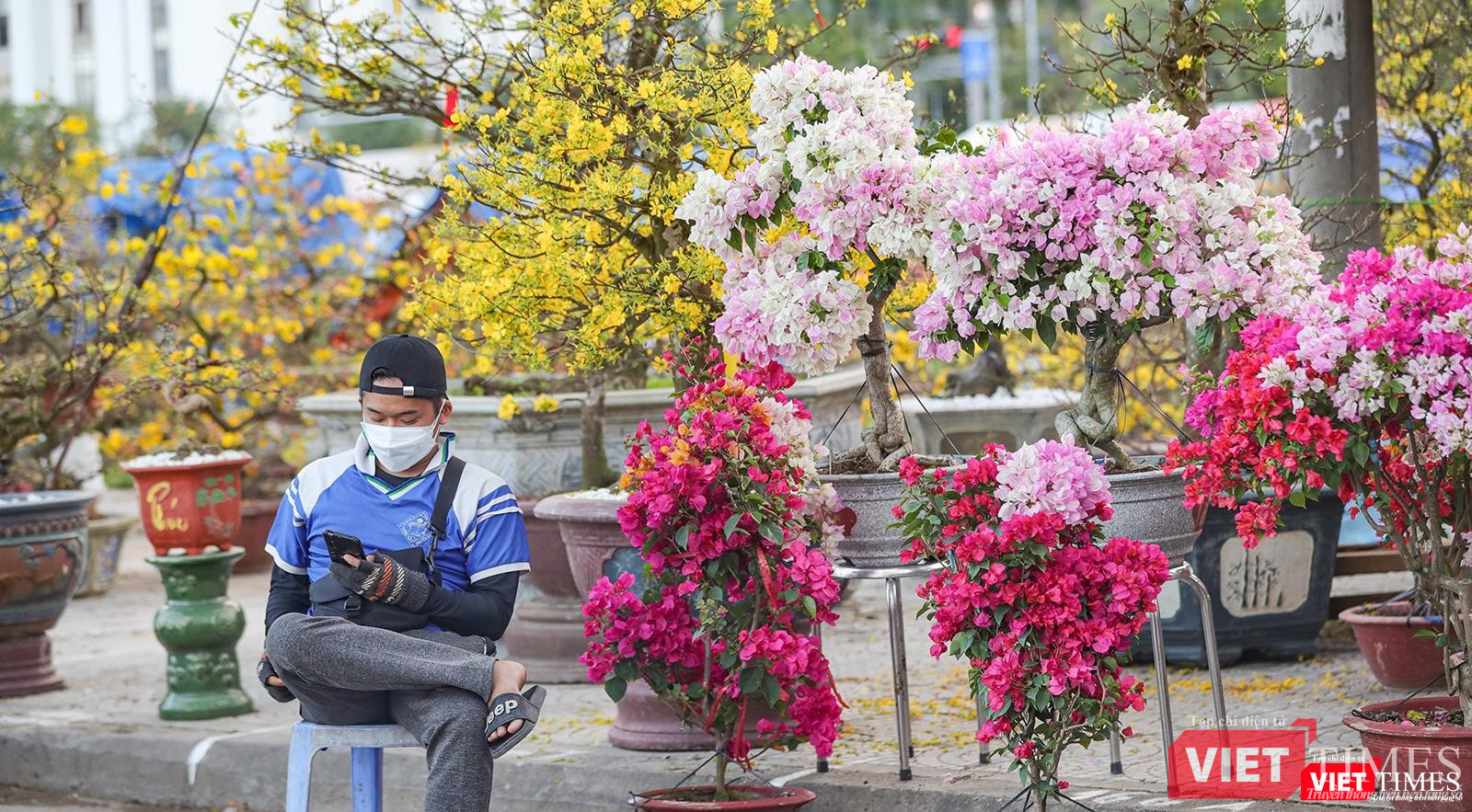 Một chủ lô bán cây cảnh chờ khách mua