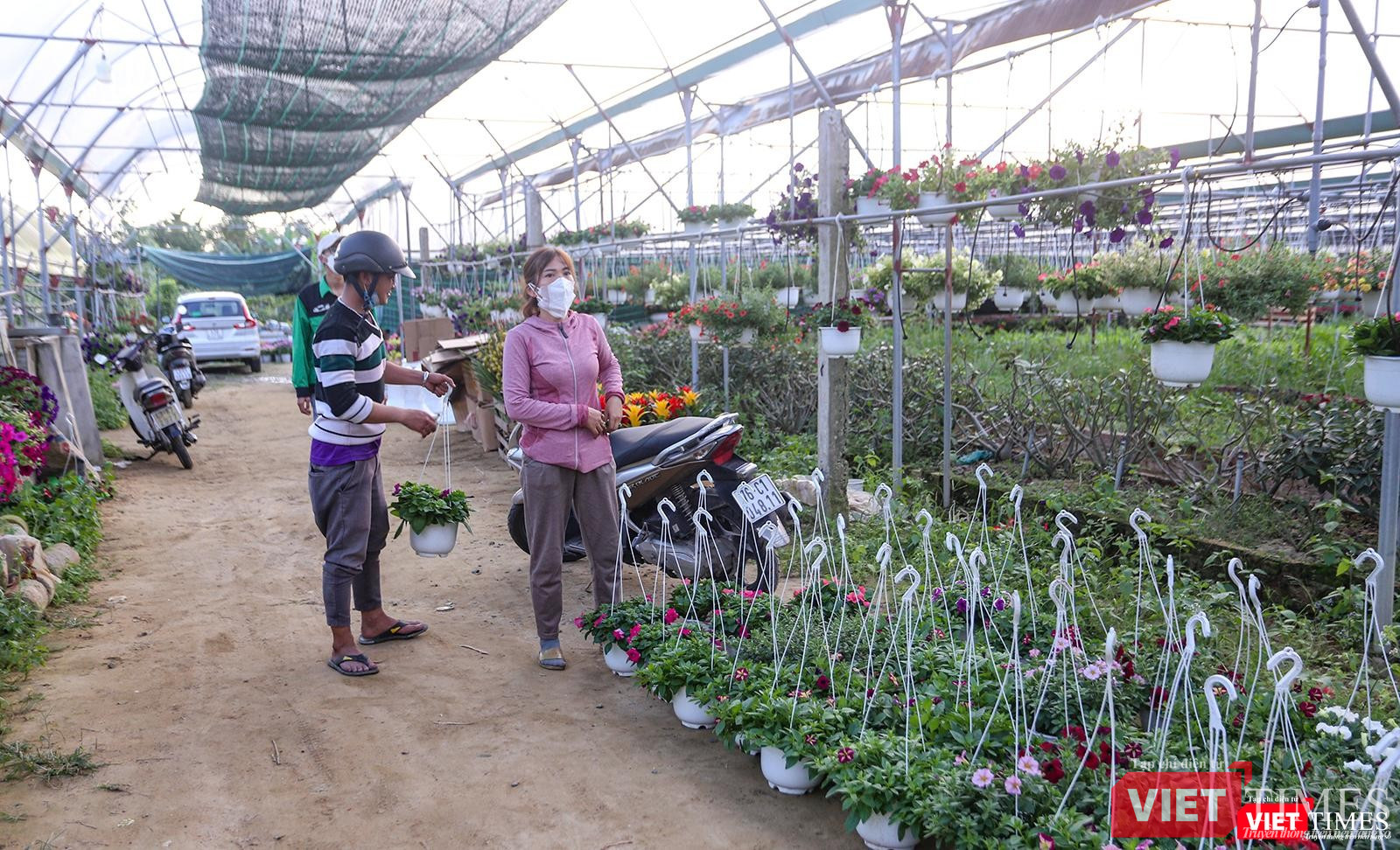 Người dân đến mua hoa về trang trí Tết