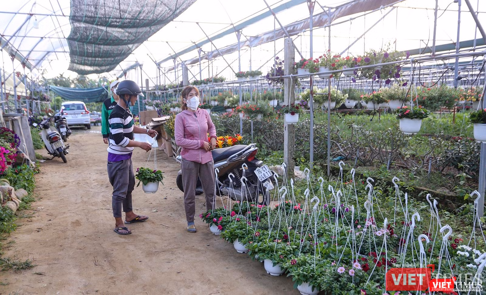 Người dân đến mua hoa về trang trí Tết