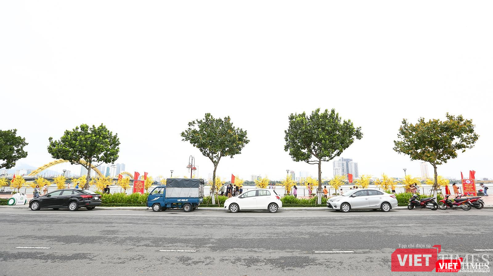 Một góc đường hoa xuân đoạn Bạch Đằng nối dài