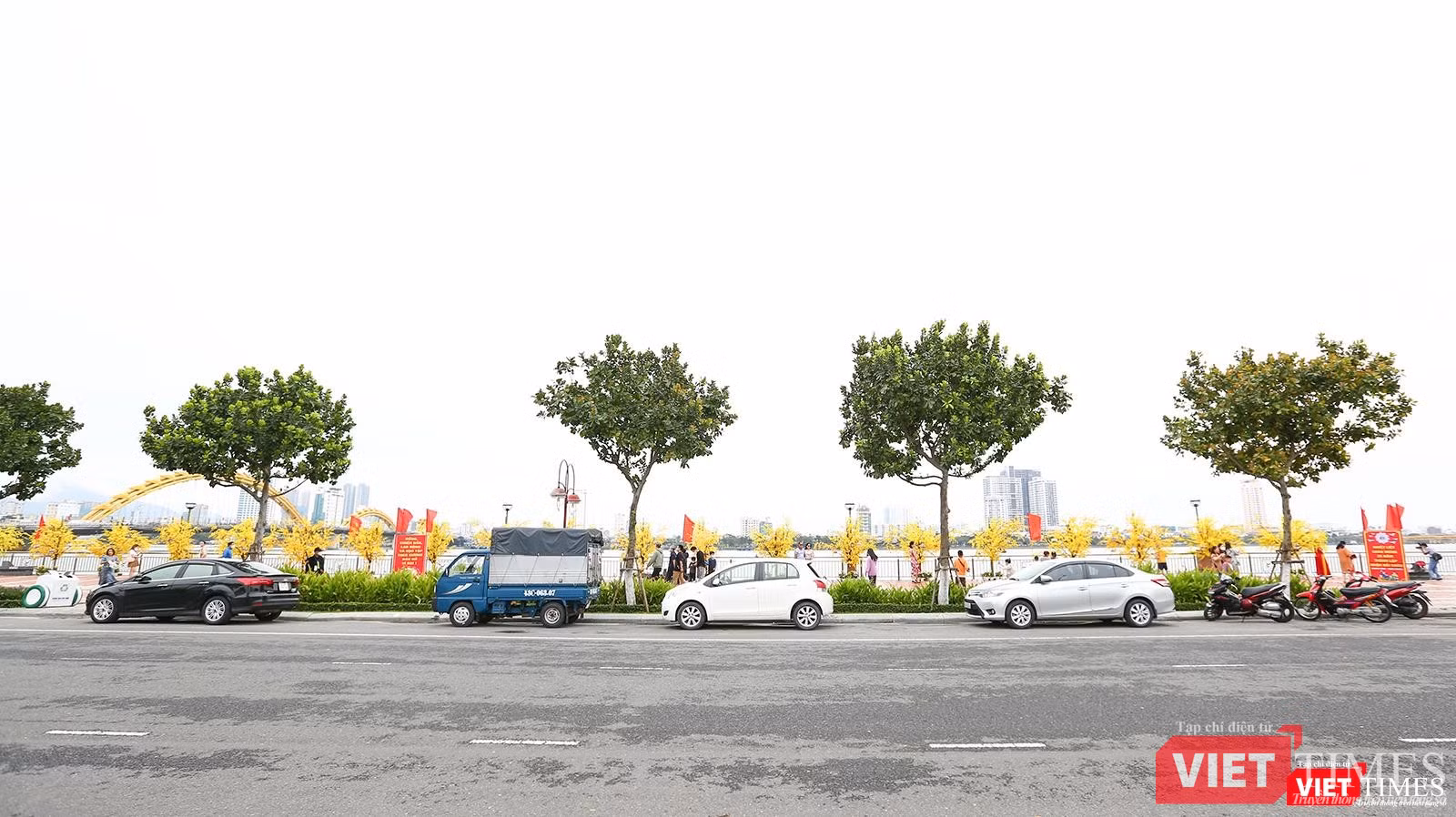 Một góc đường hoa xuân đoạn Bạch Đằng nối dài