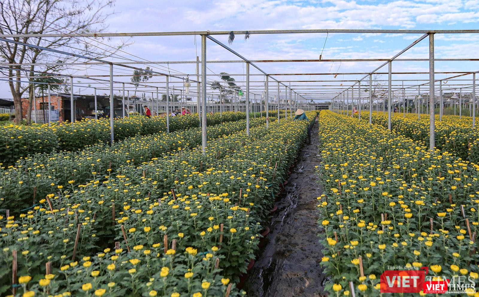 Sẵn sàng phục vụ nhu cầu người dân