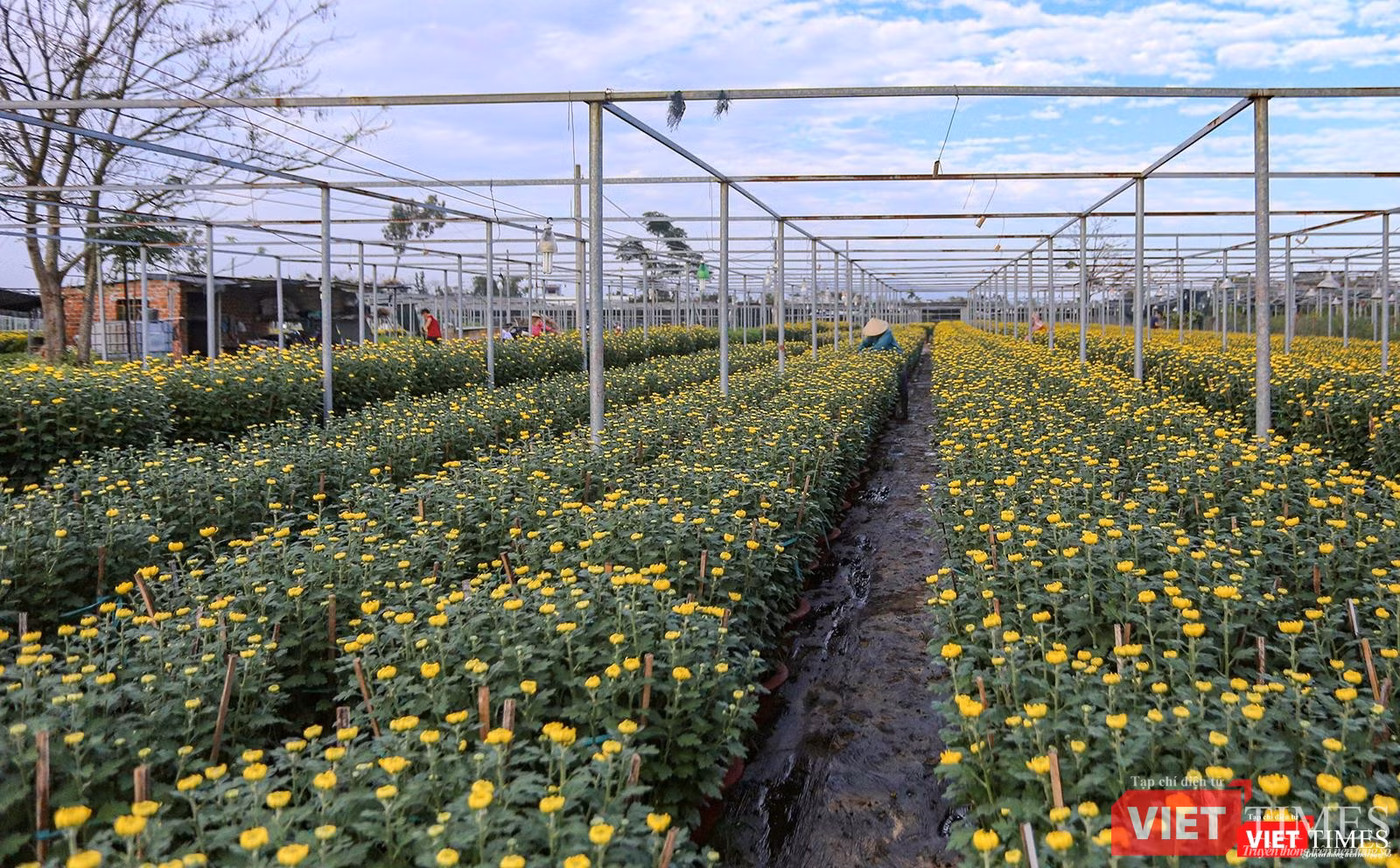 Sẵn sàng phục vụ nhu cầu người dân