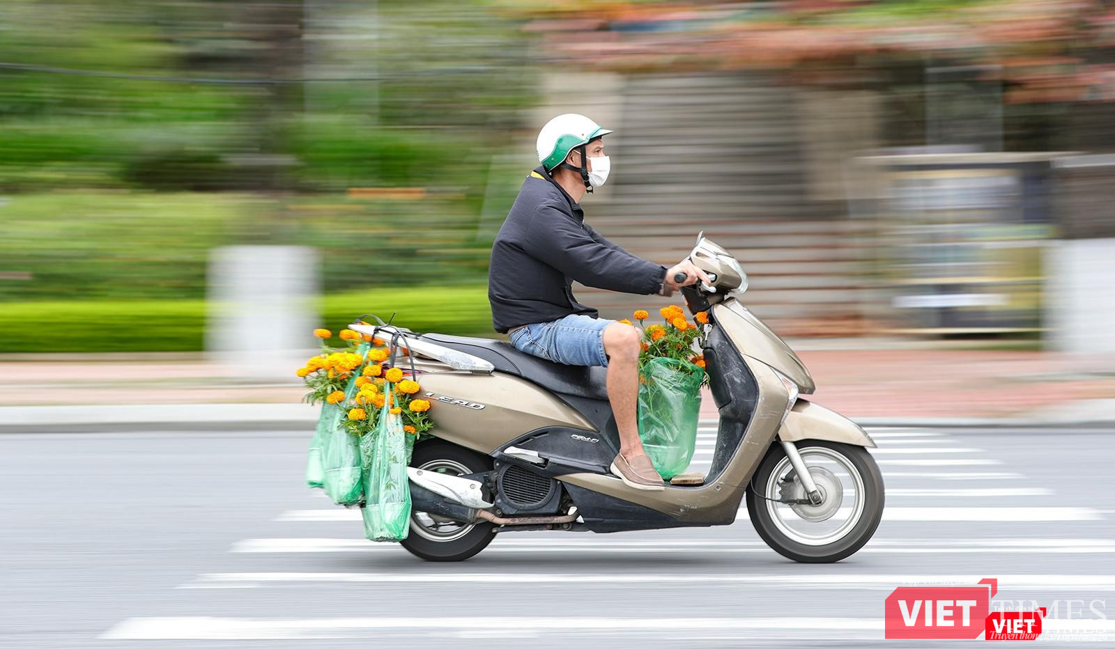 Đem Tết về nhà