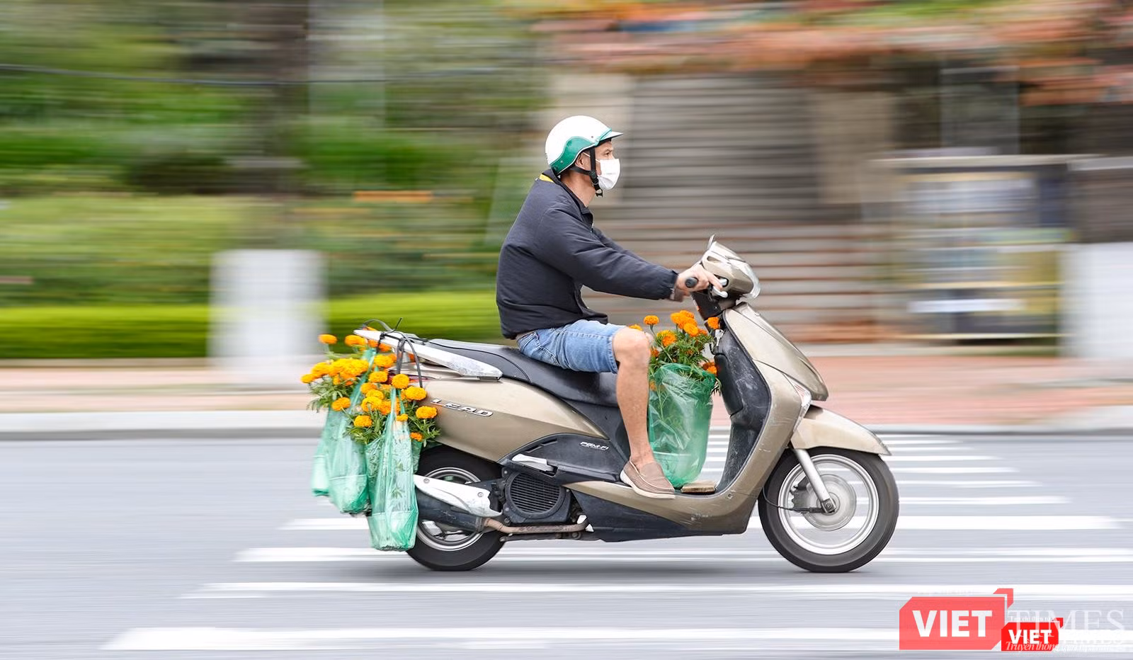 Đem Tết về nhà