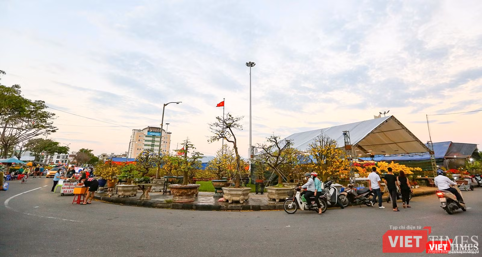 Một góc khác của chợ hoa xuân Đà Nẵng