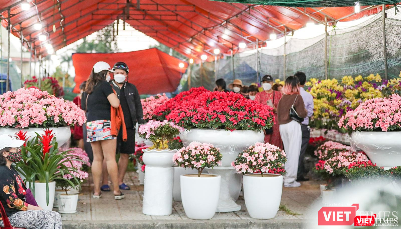 Khách đi xem hoa