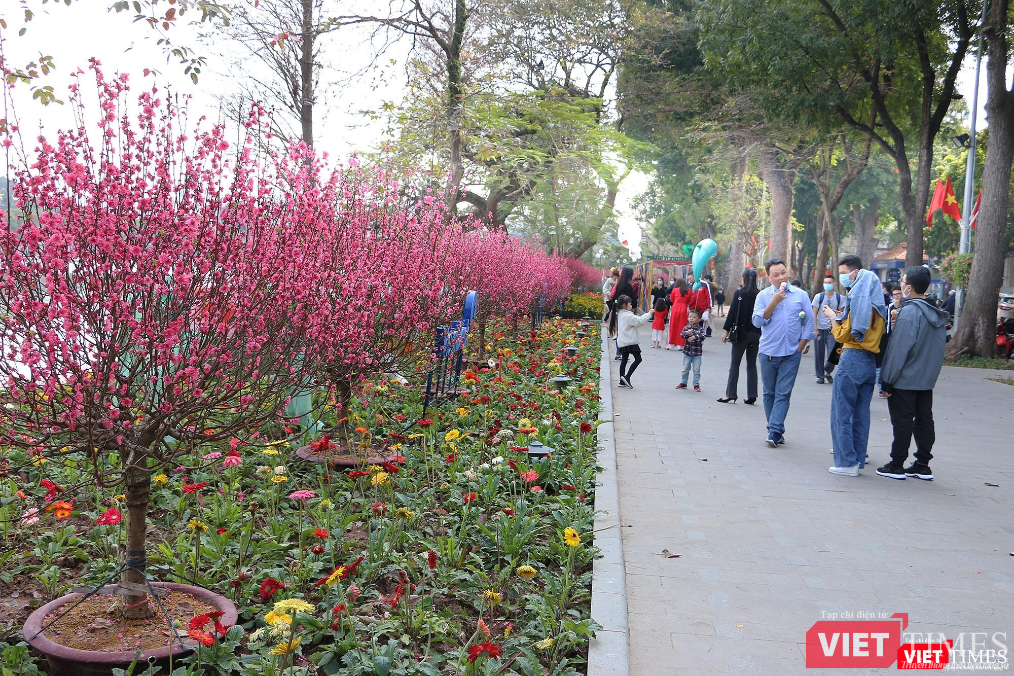 Vỉa hè đi bộ ven Hồ Gươm được trang hoàng bằng những cành đào đỏ thắm