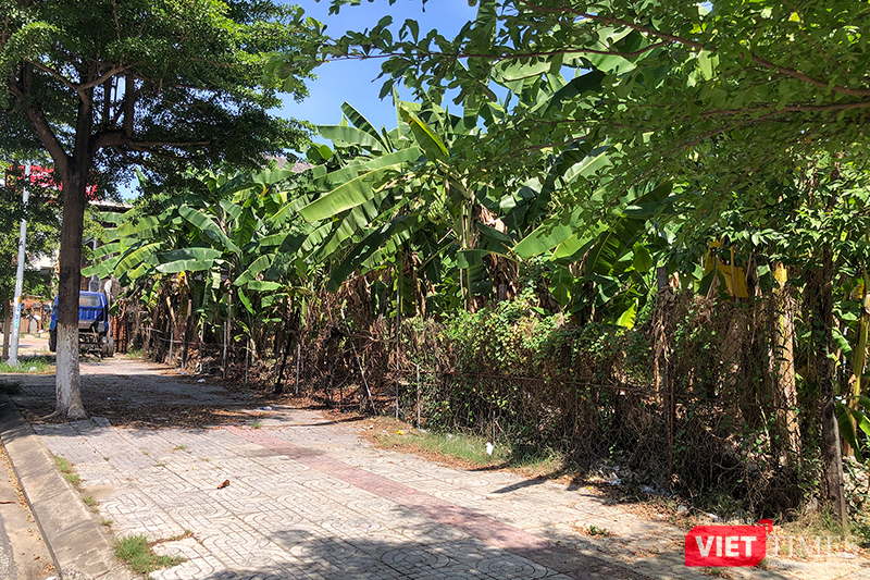 vt_luong thuc 16.png