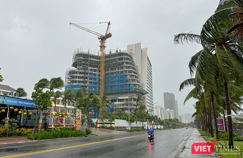 vt_bao tra mi da nang 6.png