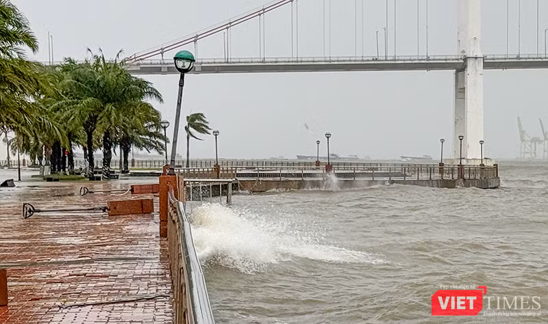 vt_bao tra mi da nang 19.png