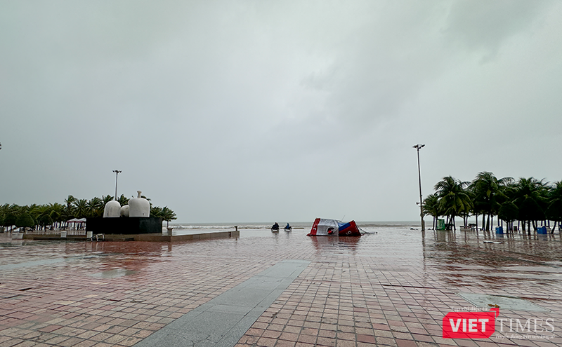 vt_bao tra mi da nang 2.png