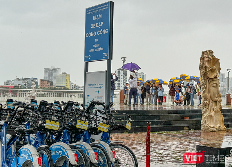 vt_bao tra mi da nang 21.png