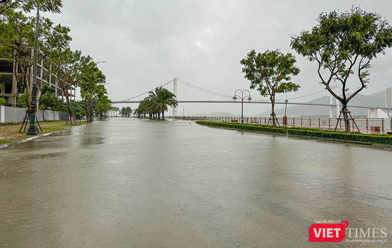 vt_bao tra mi da nang 22.png