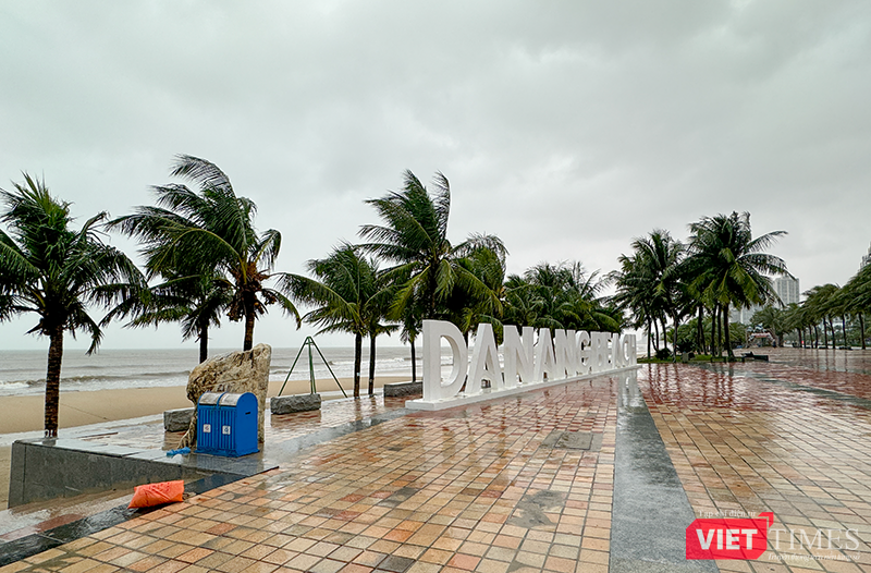 vt_bao tra mi da nang 4.png