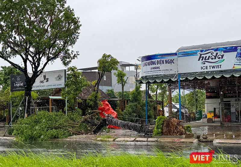 vt_bao tra mi da nang 26.png