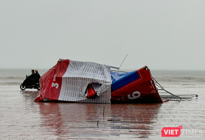 vt_bao tra mi da nang 3.png