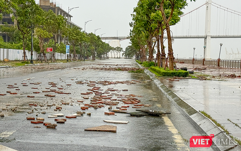 vt_bao tra mi da nang 20.png