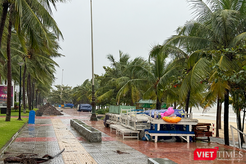 vt_bao tra mi da nang 5.png