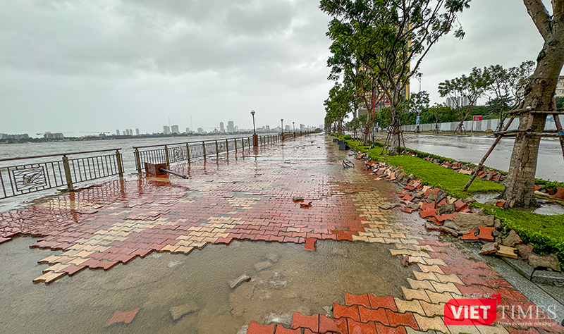 vt_bao tra mi da nang 23.png