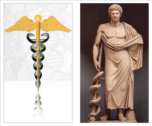cây gậy của Asclepius.jpg