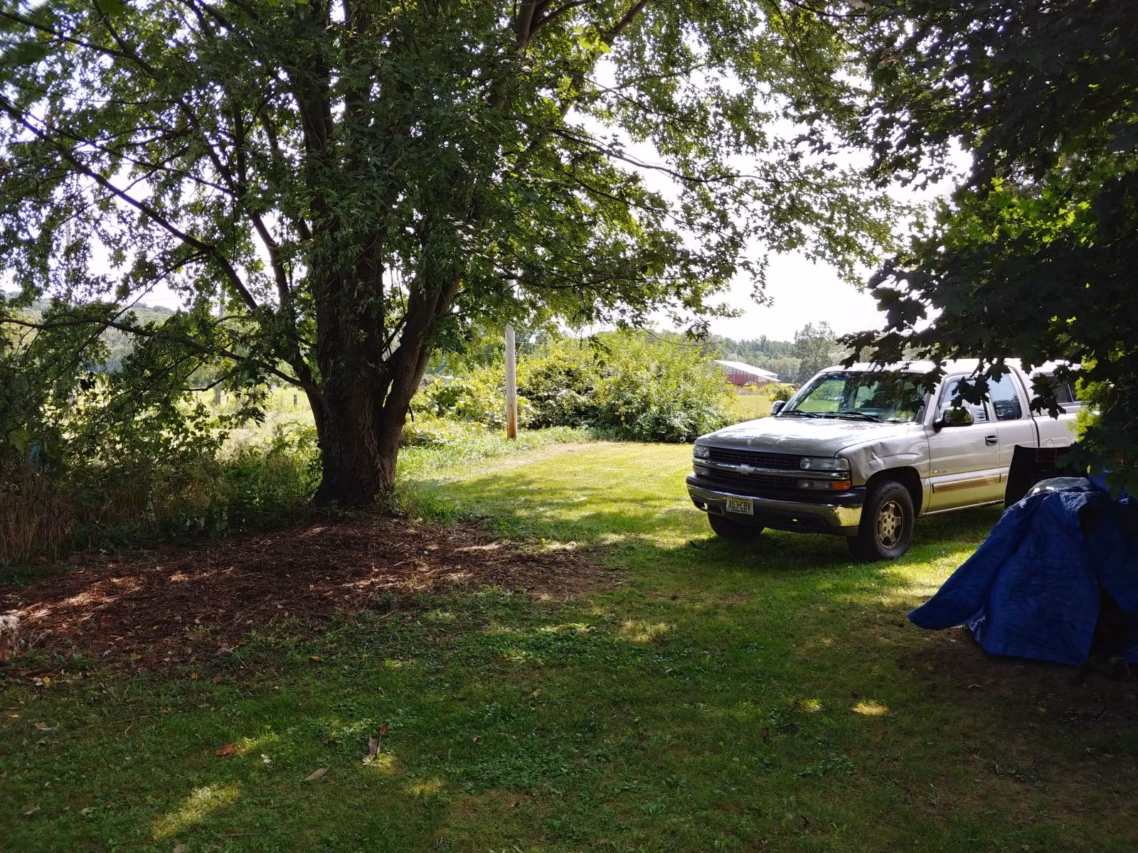 Chùm ảnh chụp từ LG V30 vừa ra mắt ảnh 11